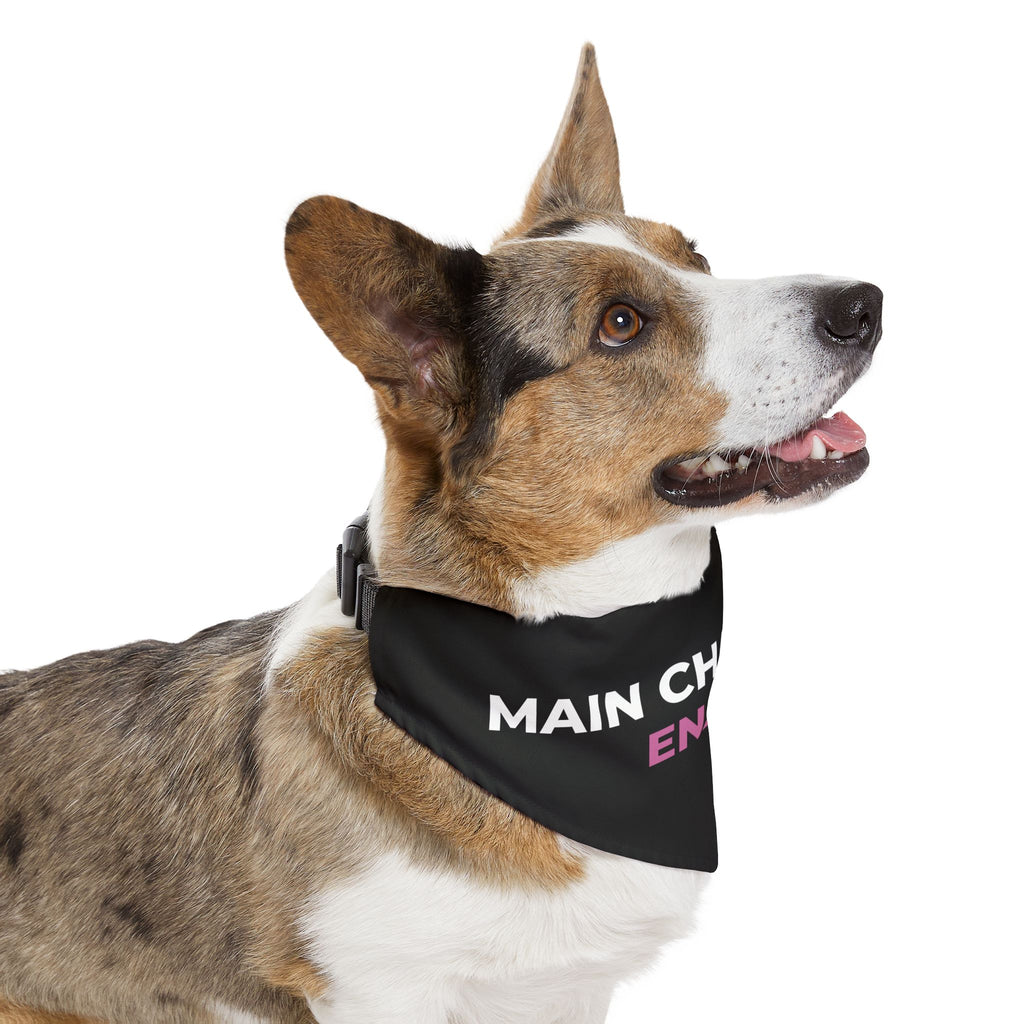 Main Character Energy