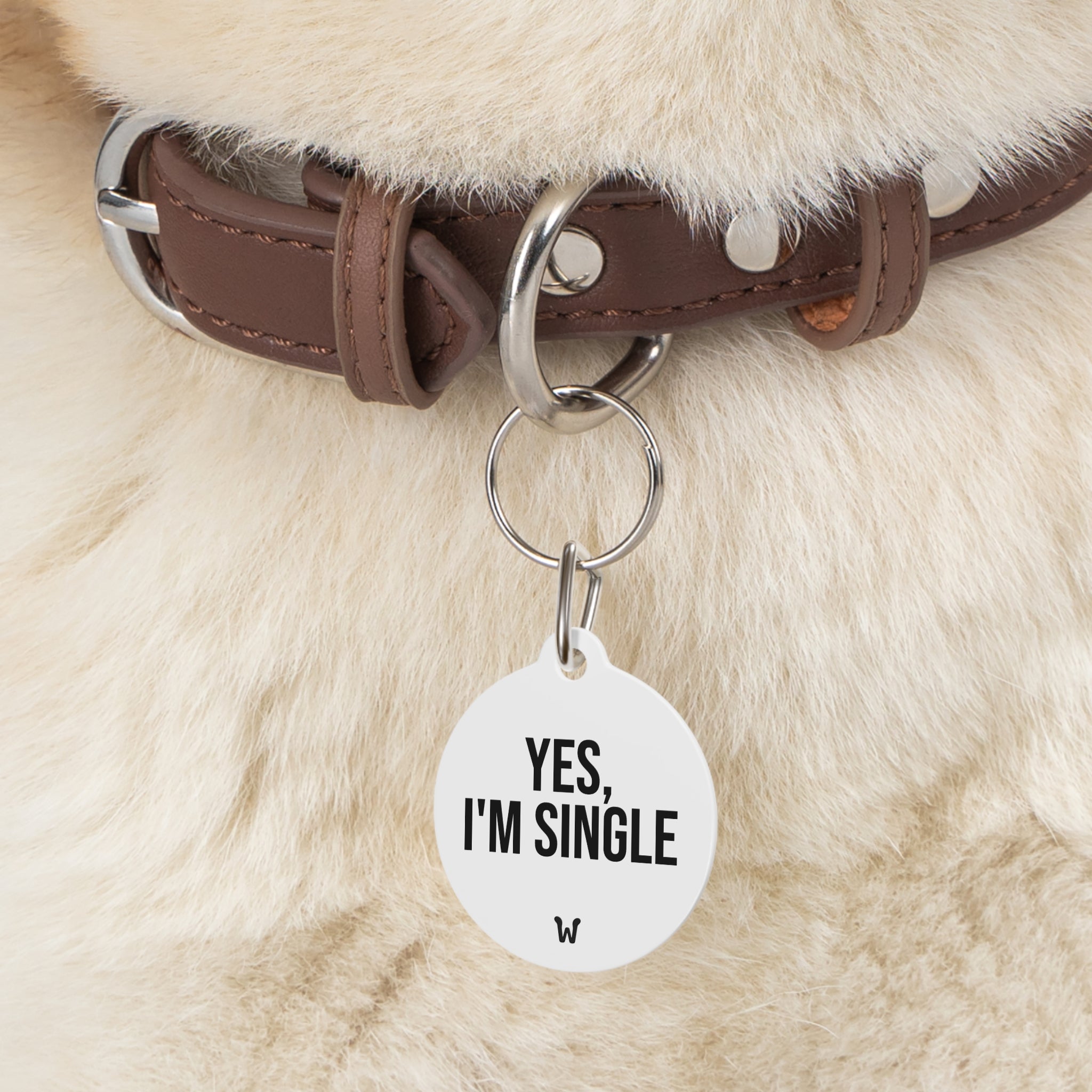 Yes I'm Single - Custom Designer Pet ID Tag