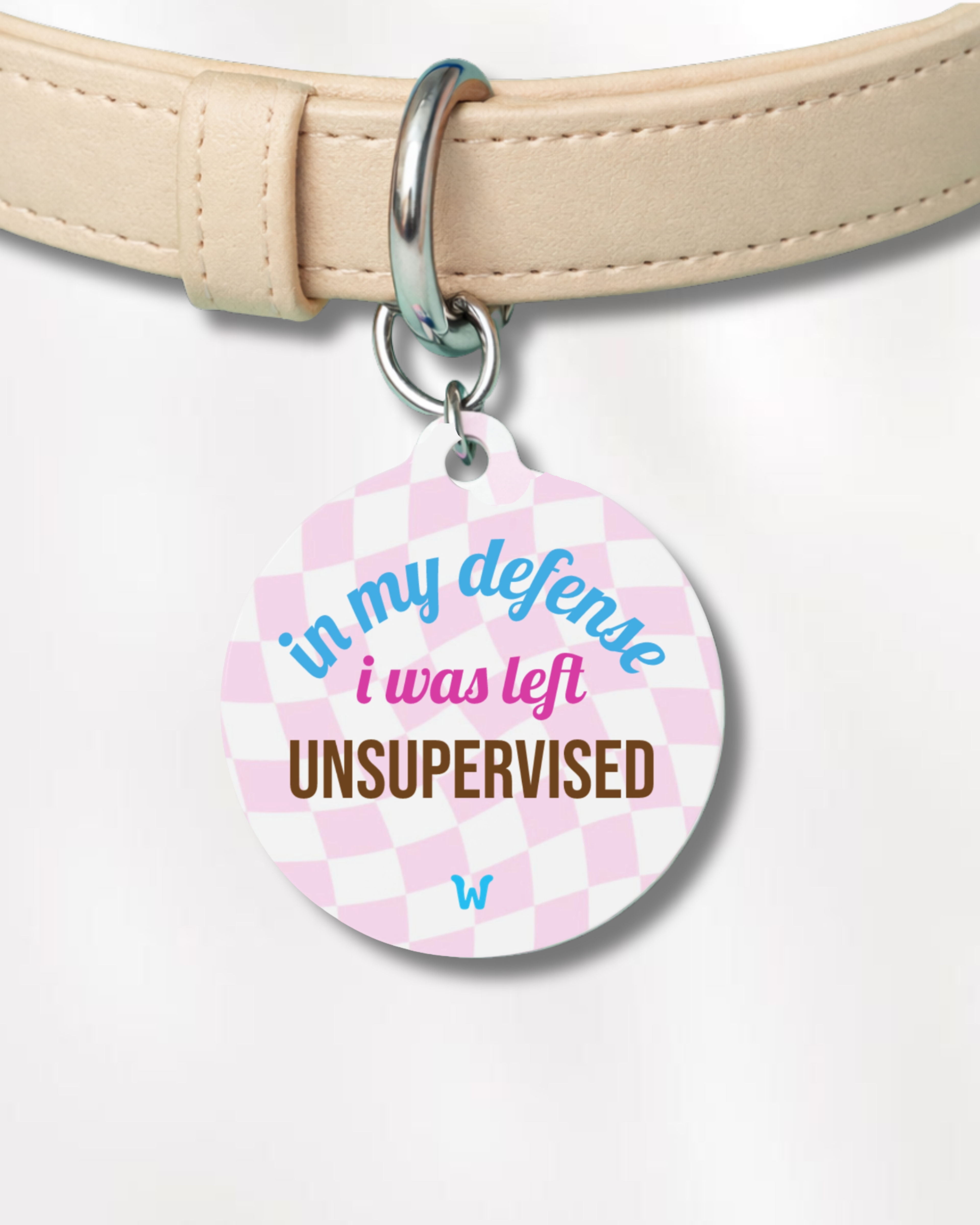 In My Defense I Was Left Unsupervised - Tag