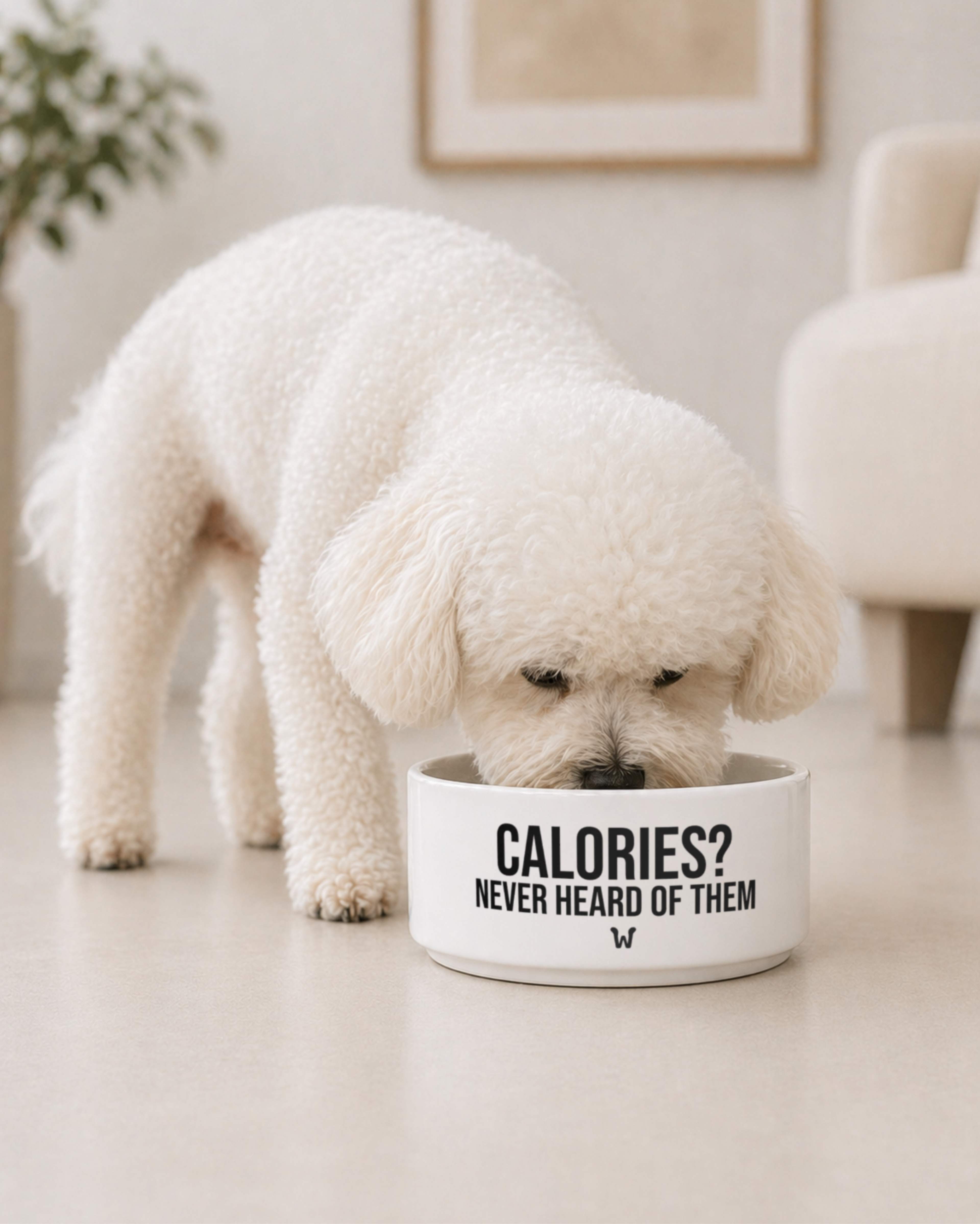 Calorie Who? - Bowl