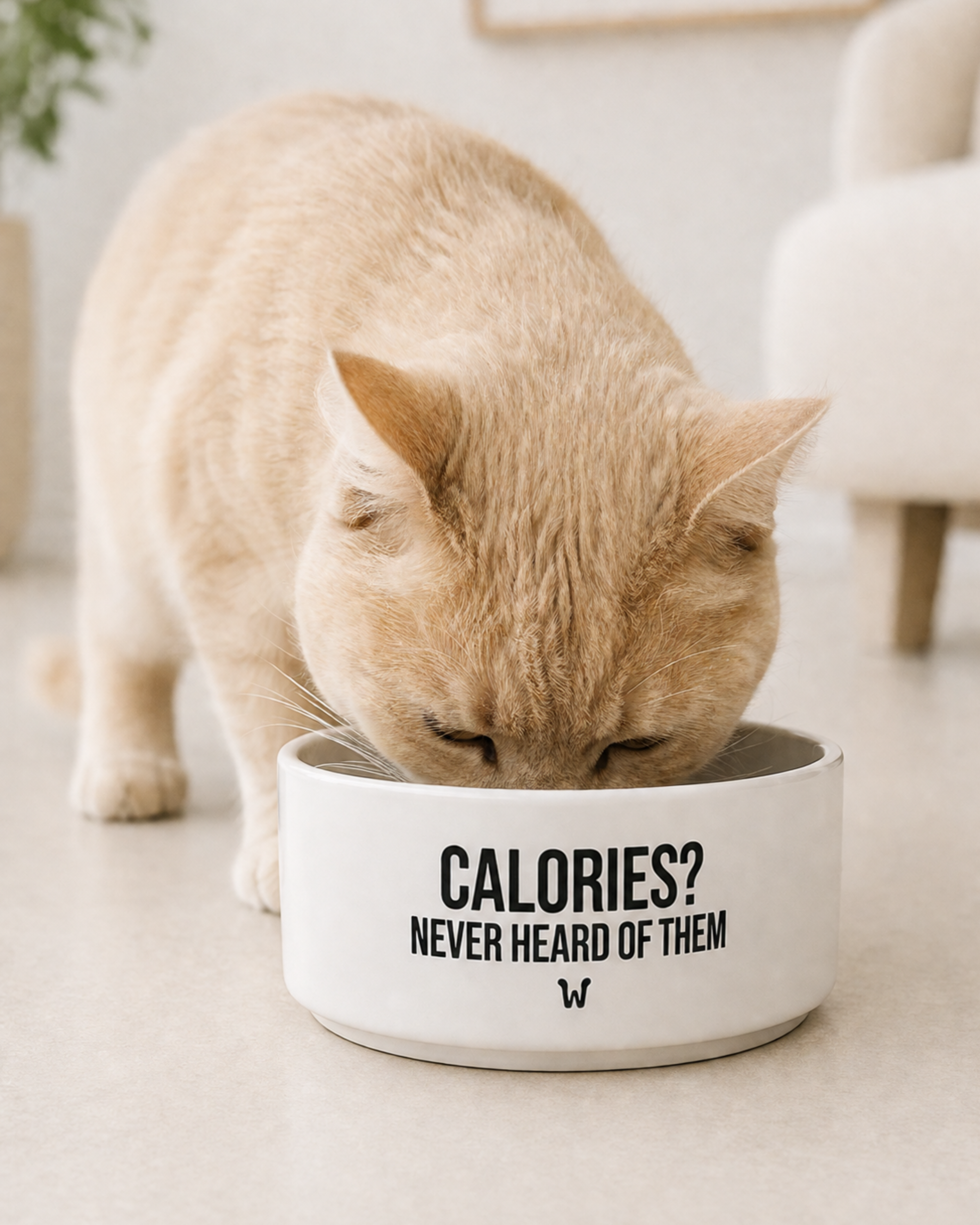 Calorie Who? - Bowl