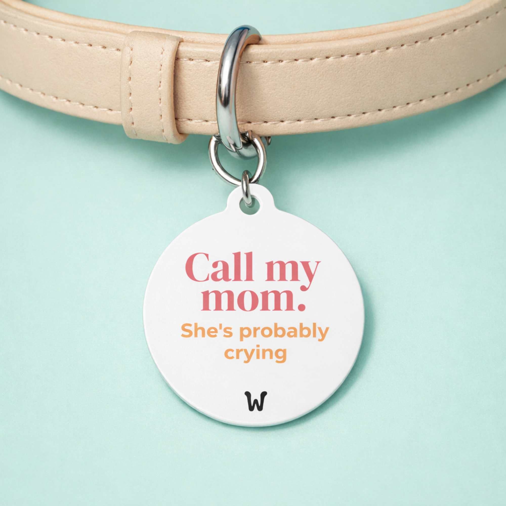 Call My Mom She's Probably Crying - Tag