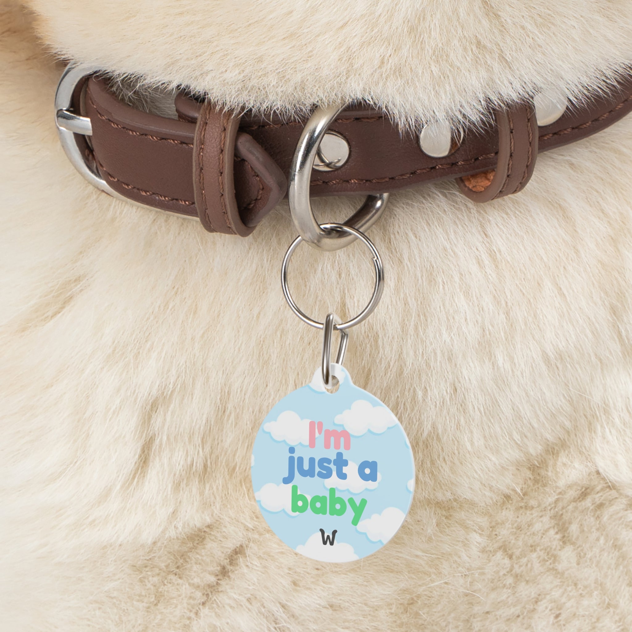 I'm Just a Baby - Custom Designer Pet ID Tag