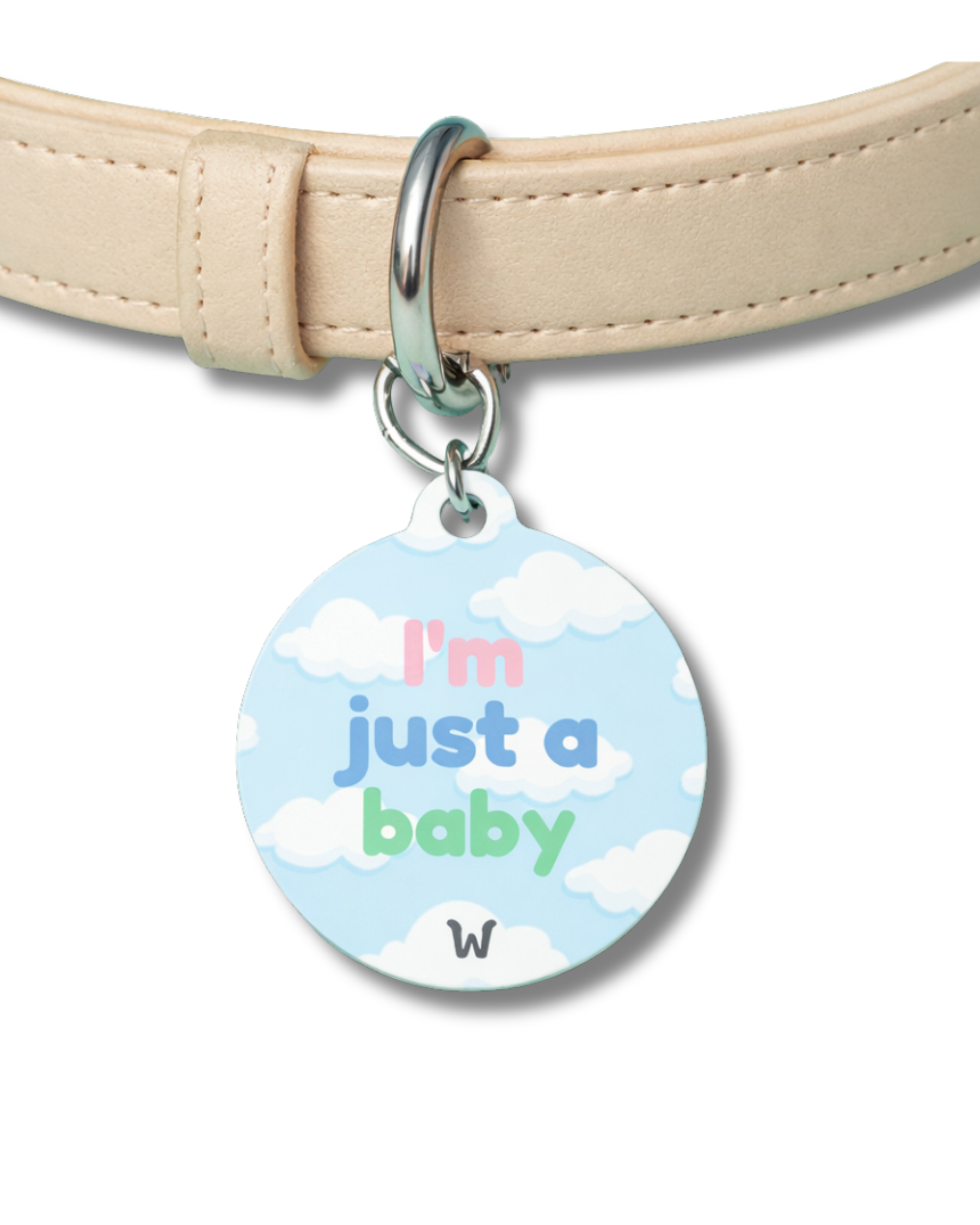 I'm Just a Baby - Custom Designer Pet ID Tag
